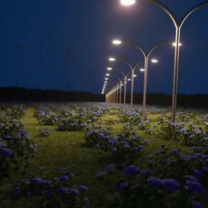 免费视频精品三八
