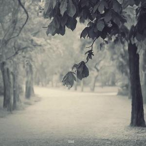 免费视频精品三八
